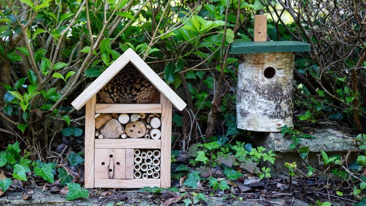A wooden insect house and a log bird's house displayed on top of a stone wall in a garden covered with shrubbery.